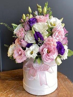 Kutuda LSYANTUS iekleri